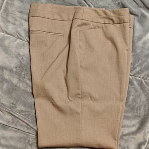 Dress Pants